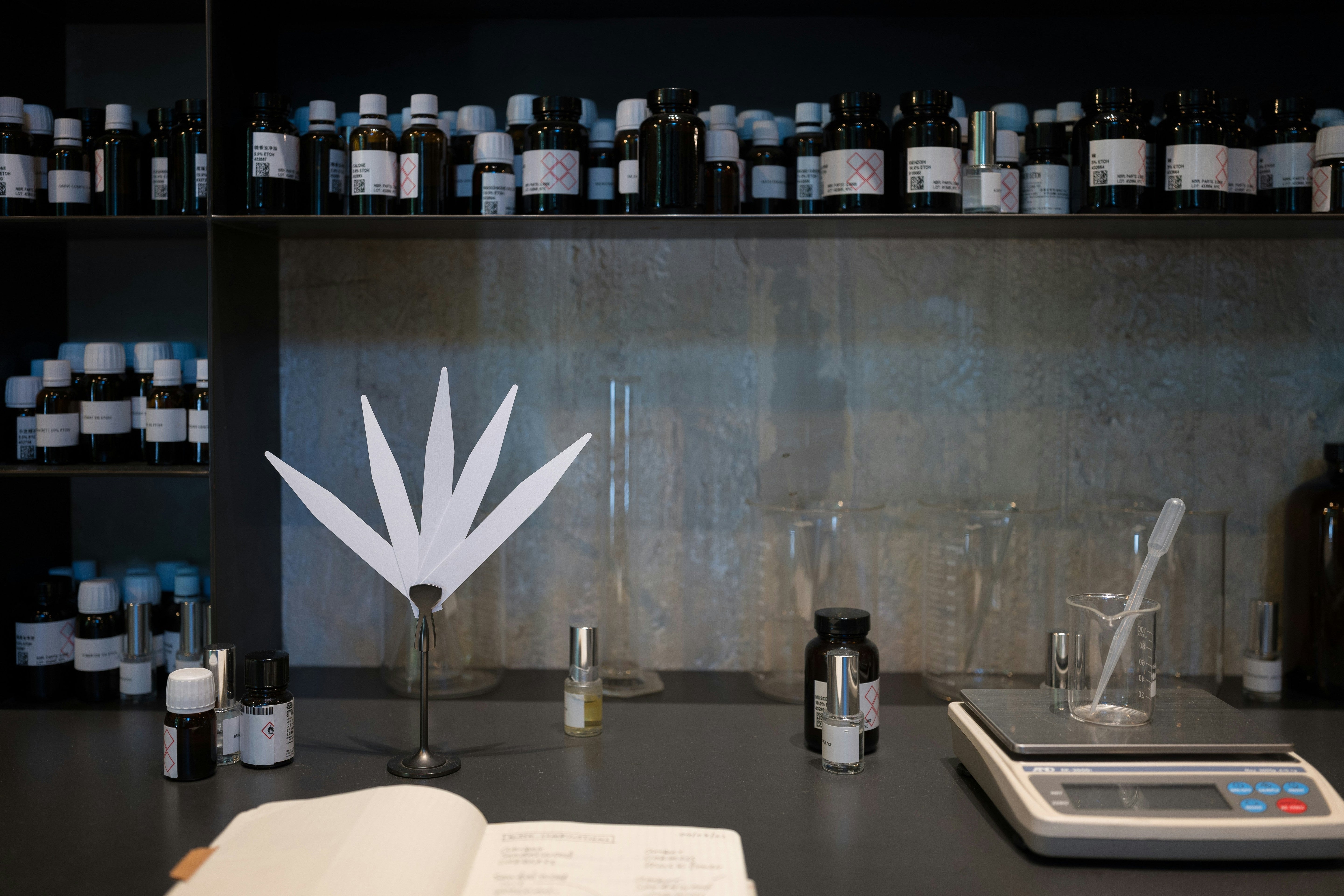 The Truth About Clean Fragrance Myths and What You Should Really Know