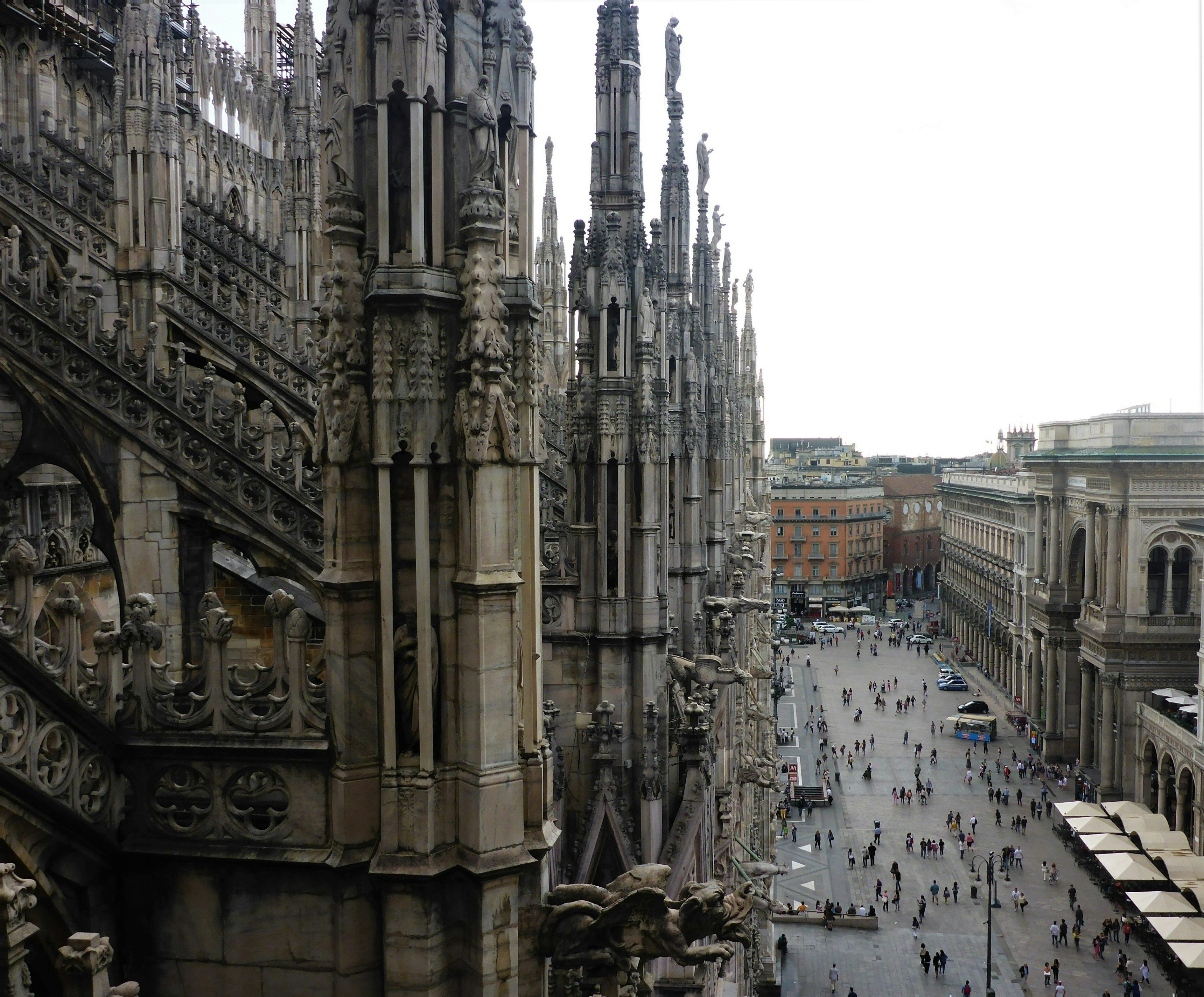 Introducing Acqua Di Lusso: A Fragrance Inspired by Italy’s Timeless Beauty